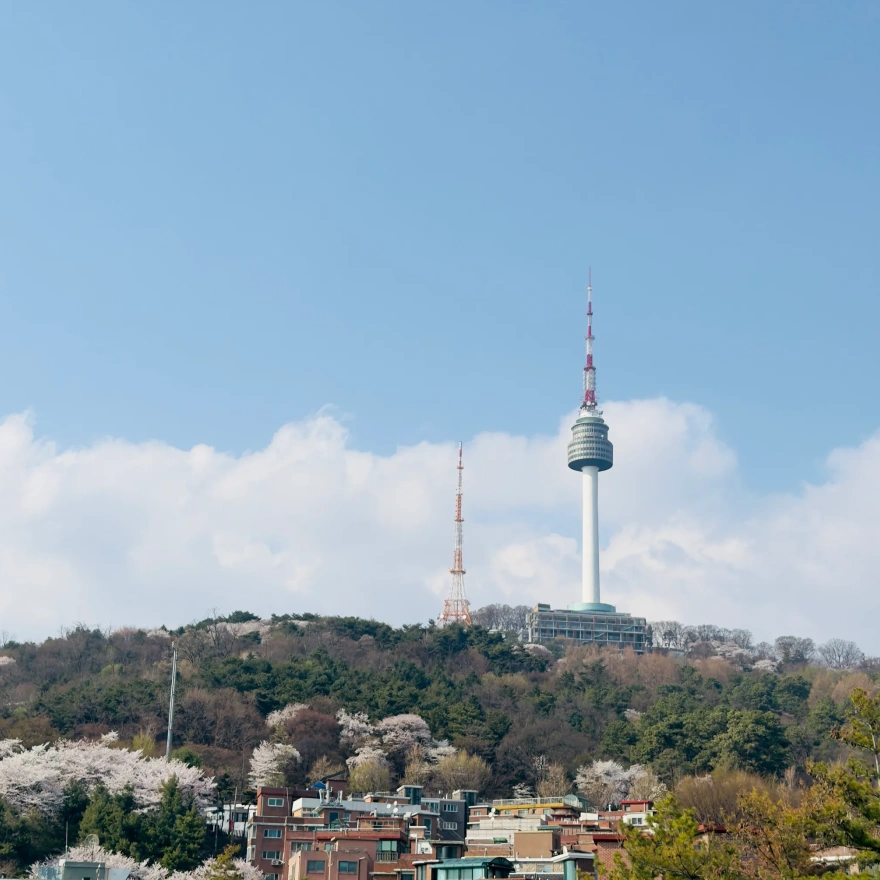 남산타워와 벚꽃이 어우러진 봄 풍경 촬영 예시