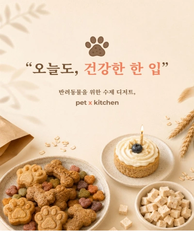 AI로 제작한 카드 뉴스 예시