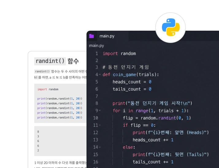 파이썬 핵심 개념 학습 화면 예시